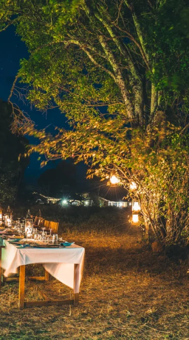 night dinner, lemala ewanjan camp, the serengeti, tanzania