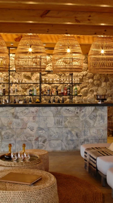 bar interior namiri plains tanzania yellow zebra safaris