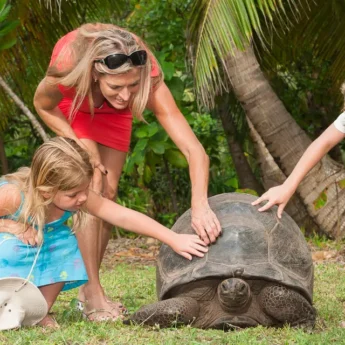 Tortoise-petting-Seychelles