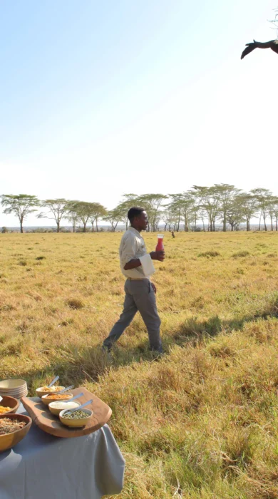 breakfast fever tree forest namiri plains tanzania yellow zebra safaris