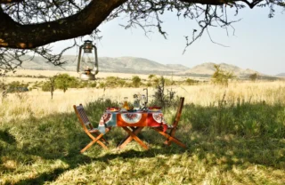 A table beneath a tree is set for a bush breakfast, Nyikani Camp, Central Serengeti, Tanzania - Yellow Zebra Safari