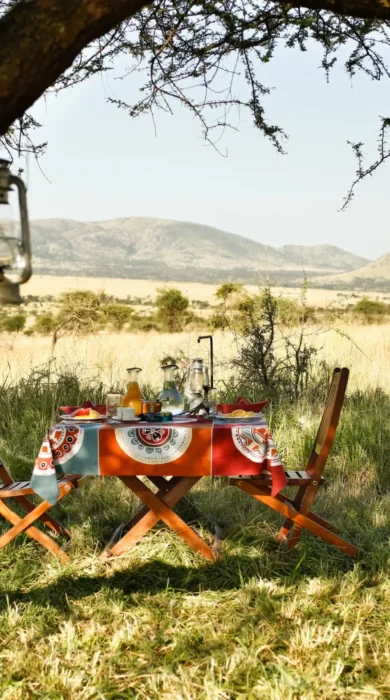 A table beneath a tree is set for a bush breakfast, Nyikani Camp, Central Serengeti, Tanzania - Yellow Zebra Safari