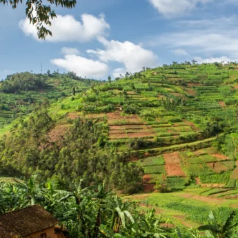 Tiered lush farmland on a hillside, Rwanda - Yellow Zebra Safaris