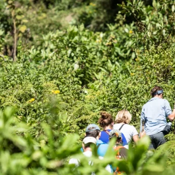 Amidst thick vegetation people hike uphill, Uganda - Yellow Zebra Safaris