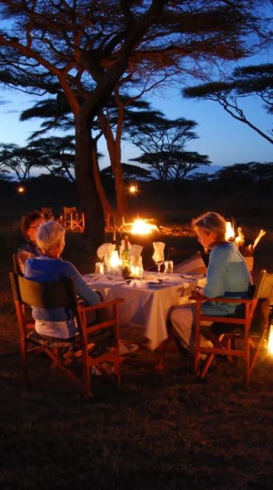 Privtae safari dinning under the stars