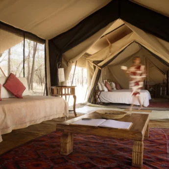 Serian Serengeti Kusini longue interior detail