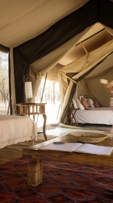 Serian Serengeti Kusini longue interior detail