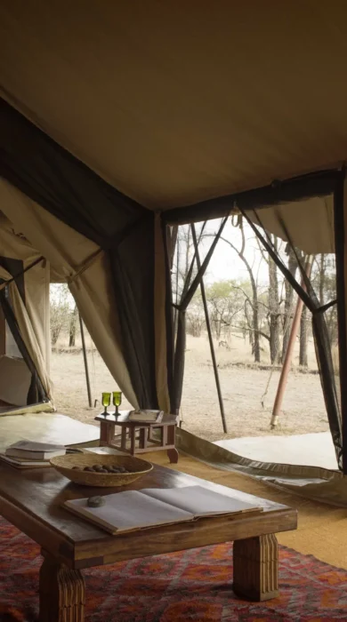 Serian Serengeti Kusini inside detail