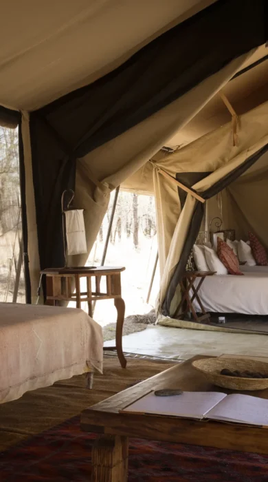 serians serengeti mobile lamai interior tent tanzania yellow zebra safaris