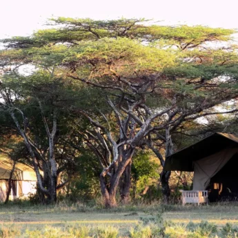 serian serengeti kakessio wetu serengeti south camp1