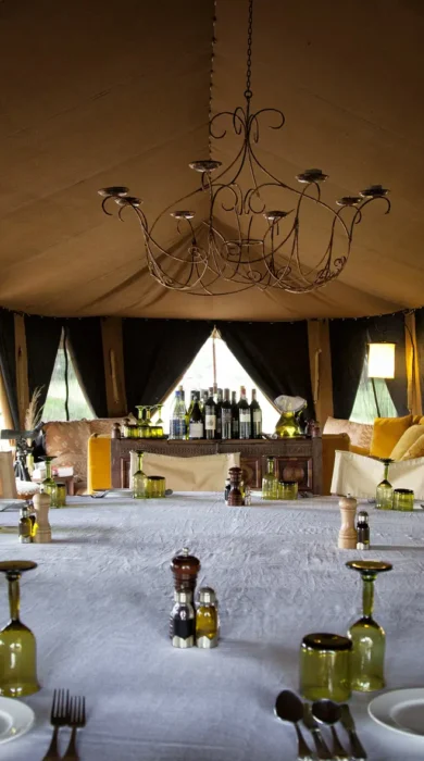 Serengeti South Mess ®Terry Hann