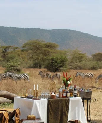 the manor at ngorongor bush dinner tanzania yellow zebra safaris
