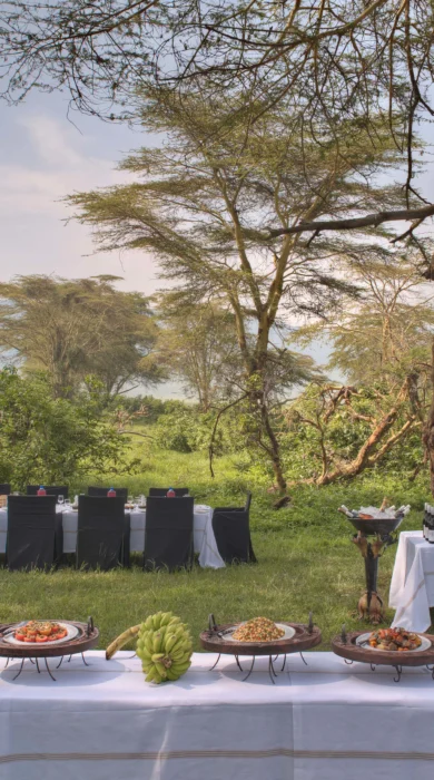 ngorongoro crater lodge bush dining tanzania yellow zebra safaris