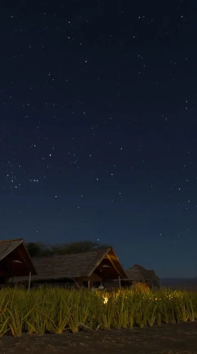 olduvai camp night view tanzania yellow zebra safaris