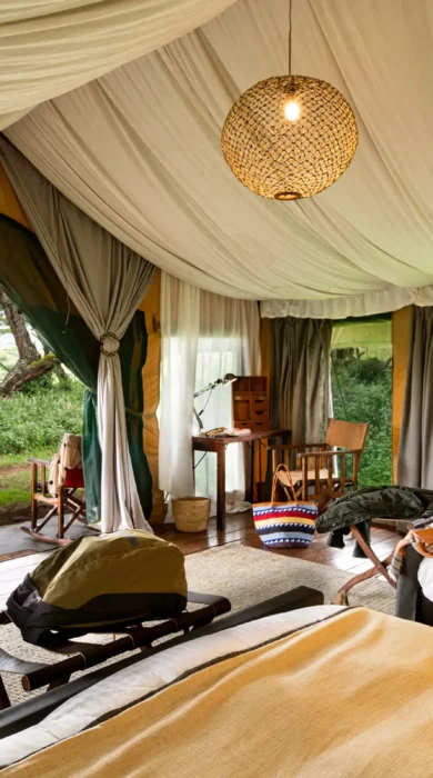 lemala ngorongoro twin room tanzania yellow zebra safaris