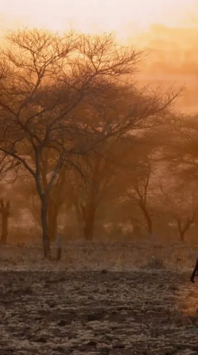 Sunset massai