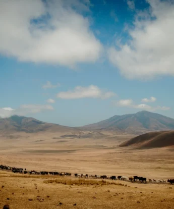 landscape, entamanu ngorongoro, the crater, tanzania