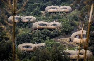 An aerial shot of the woven style accommodation lodges, Bisate, Rwanda - Yellow Zebra Safaris