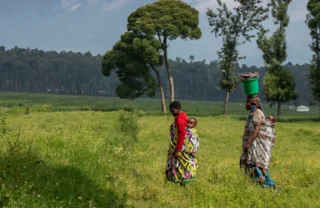 Rwandans walk in the field, Volcanoes National Park, Rwanda - Yellow Zebra Safaris
