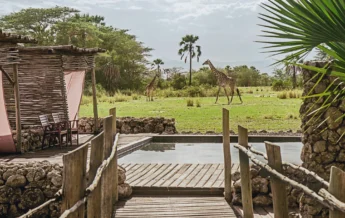 pool area, chem chem safari lodge, tarangire national park, tanzania
