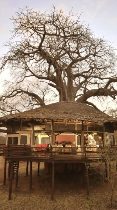 tree house lit inside