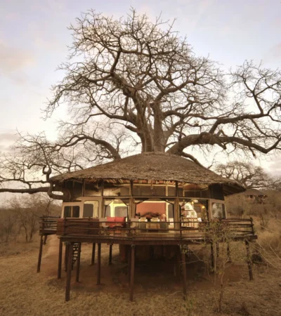 tree house lit inside