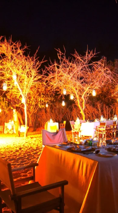 tarangire treetops lodge night dinner tanzania yellow zebra safaris