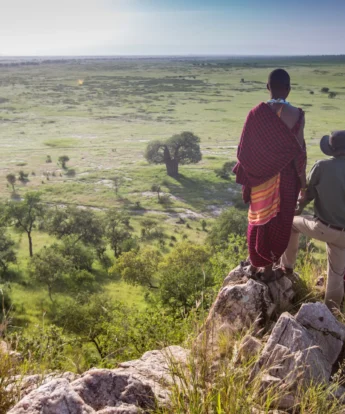 tarangire treetops bush walk tanzania yellow zebra safaris