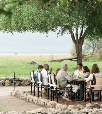 A large group dines around a table beneath an overhanging tree, Little Chem Chem, Tarangire national park, Tanzania - Yellow Zebra Safari