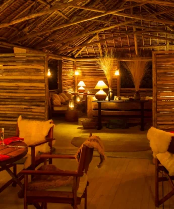 Kuro Tarangire dining tanzania yellow zebra safaris
