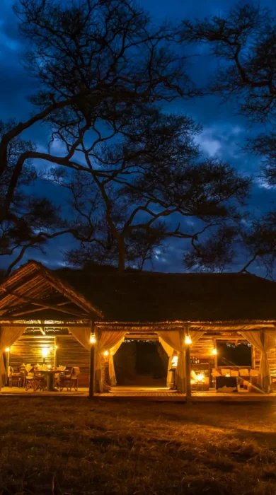 Kuro Tarangire night view tanzania yellow zebra safaris