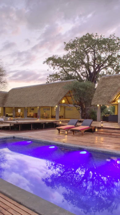 Ndovu Camp Pool Tanzania