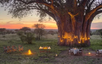 nasikia ndovu tented camp bush dining tanzania yellow zebra safaris