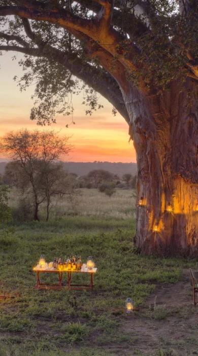 nasikia ndovu tented camp bush dining tanzania yellow zebra safaris