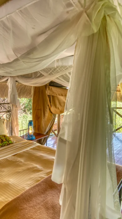 MM.Tarangire.Room