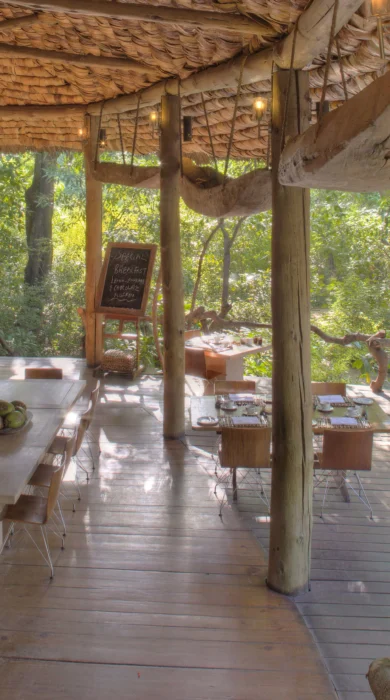 lake manyara tree lodge dining area tanzania yellow zebra safaris