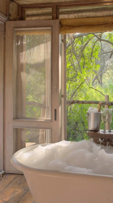 lake manyara tree lodge bathroom tanzania yellow zebra safaris