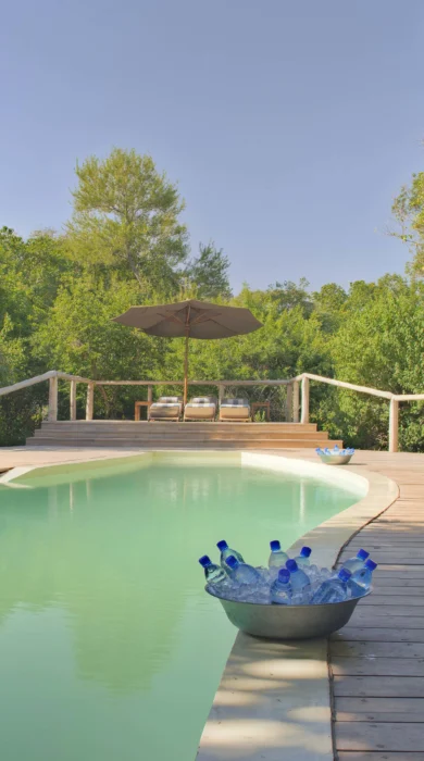 lake manyara tree lodge pool area tanzania yellow zebra safaris
