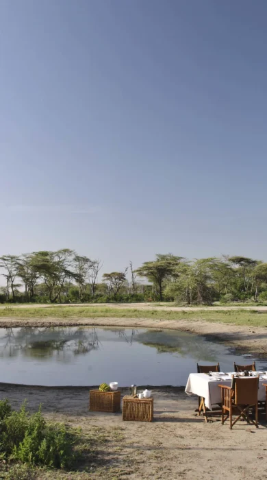 lake manyara tree lodge bush breakfast tanzania yellow zebra safaris