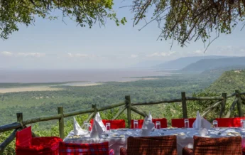 bush lunch at manyara serena safari