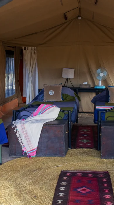 lake natron tanzania double bedroom yellow zebra safaris