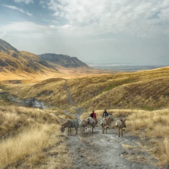 lake natron camp tanzania yellow zebra safaris