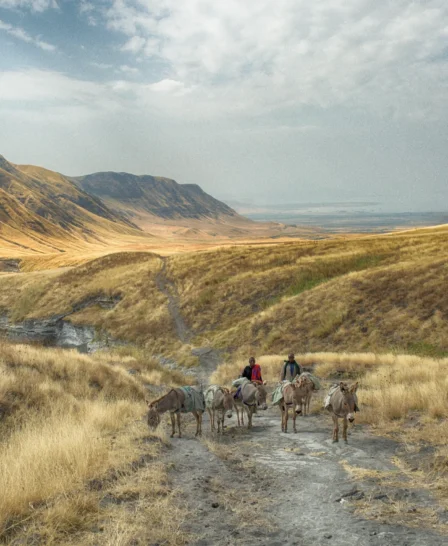 lake natron camp tanzania yellow zebra safaris
