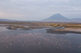 Flamingo views across Lake Natron Camp, Tanzania