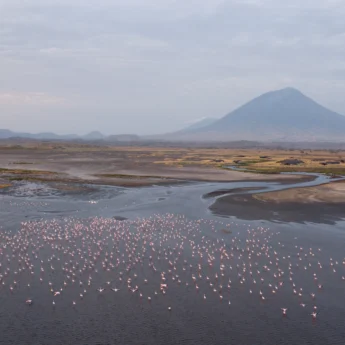 Flamingo views across Lake Natron Camp, Tanzania