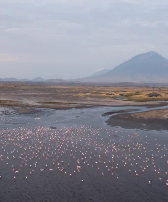 Flamingo views across Lake Natron Camp, Tanzania