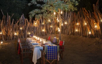 boma night beho beho tanzania yellow zebra safaris