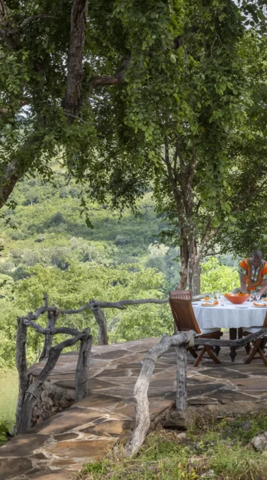 Baileys house beho beho tanzania yellow zebra safaris3