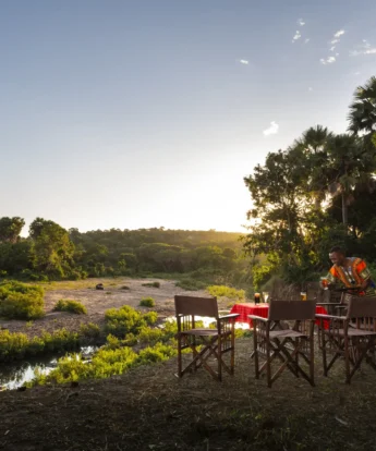 sundowner beho beho tanzania yellow zebra safaris
