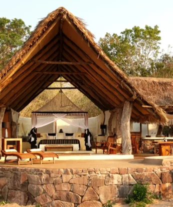 kiba point camp outside tanzania yellow zebra safaris